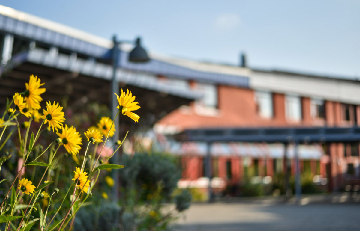 Karusselbild Frühjahr